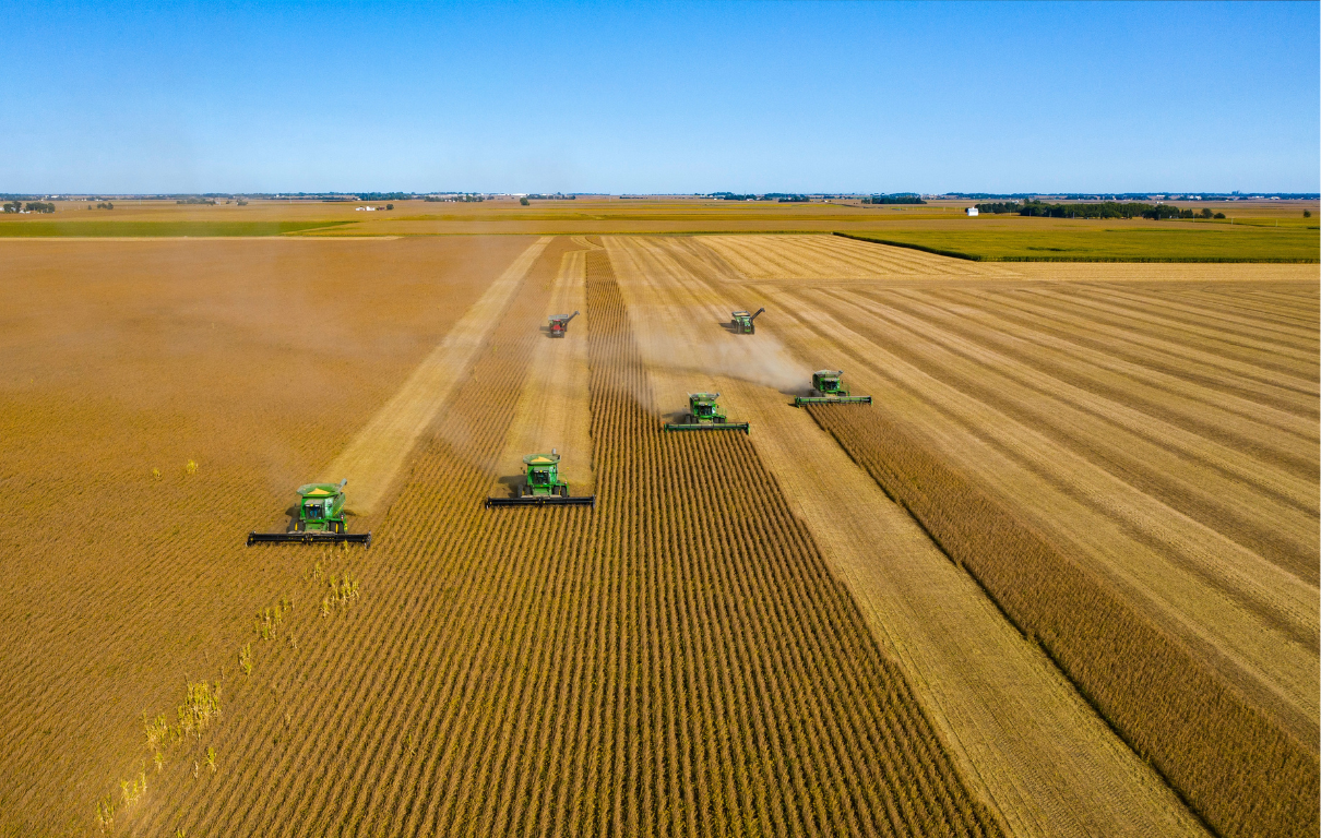 Soybean vs Hemp Fiber Economics